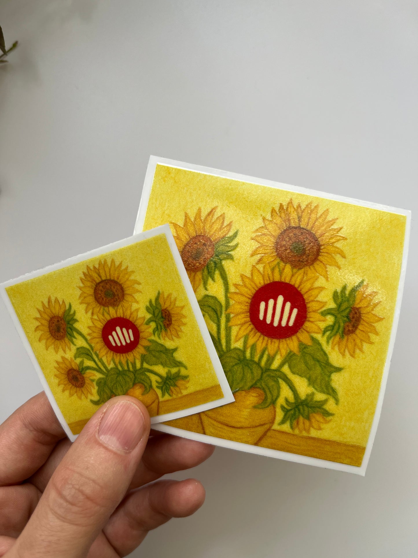 🌻 Erguvanflowers