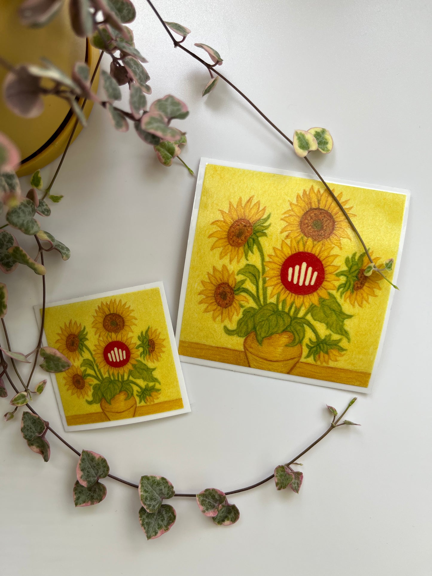 🌻 Erguvanflowers